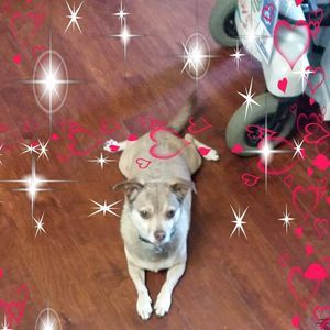 Meet your Posher, Faye